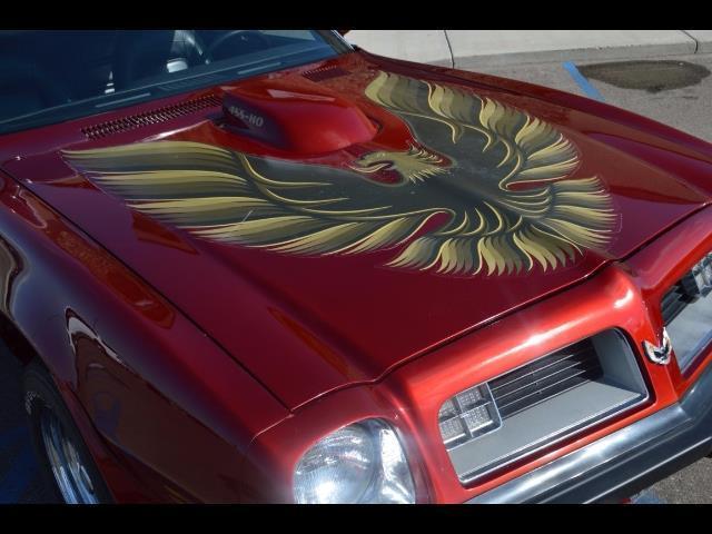 1975 Pontiac Firebird Trans Am - photo 4