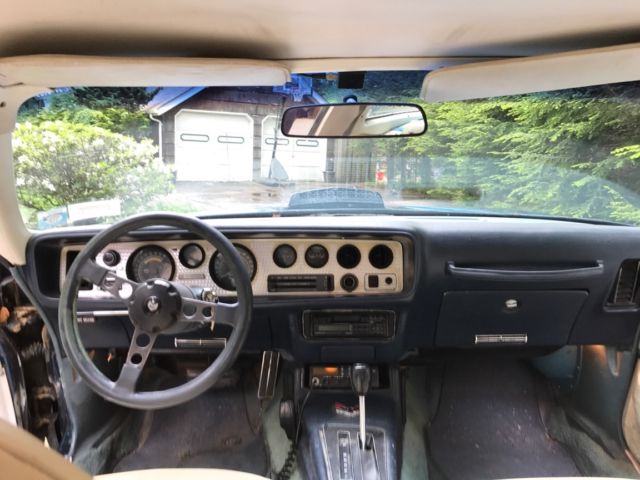 1979 Pontiac Trans Am - photo 10
