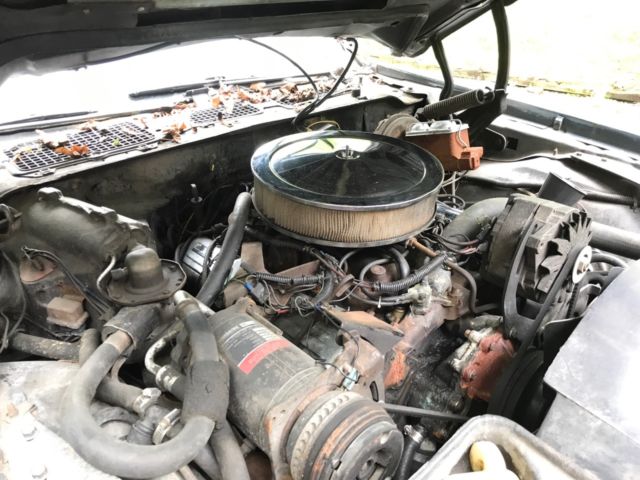 1979 Pontiac Trans Am - photo 12