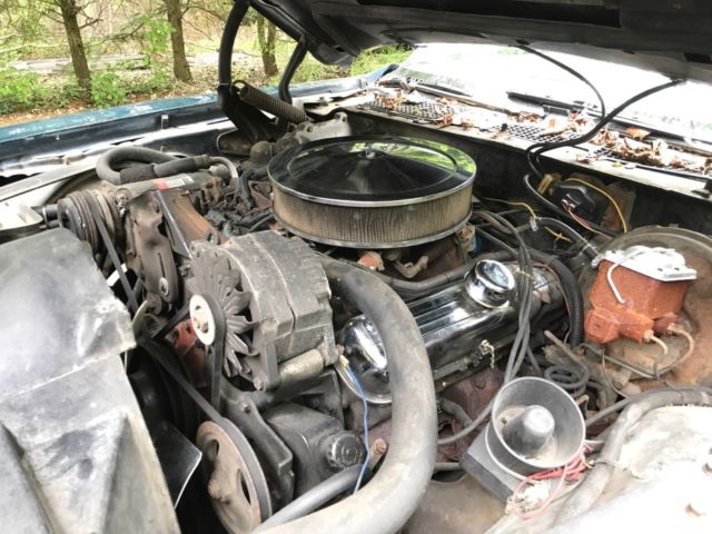 1979 Pontiac Trans Am - photo 13