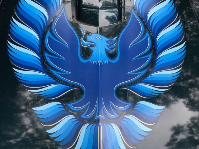 1979 Pontiac Trans Am - photo 6