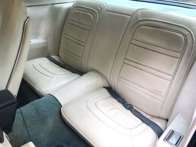 1979 Pontiac Trans Am - photo 9