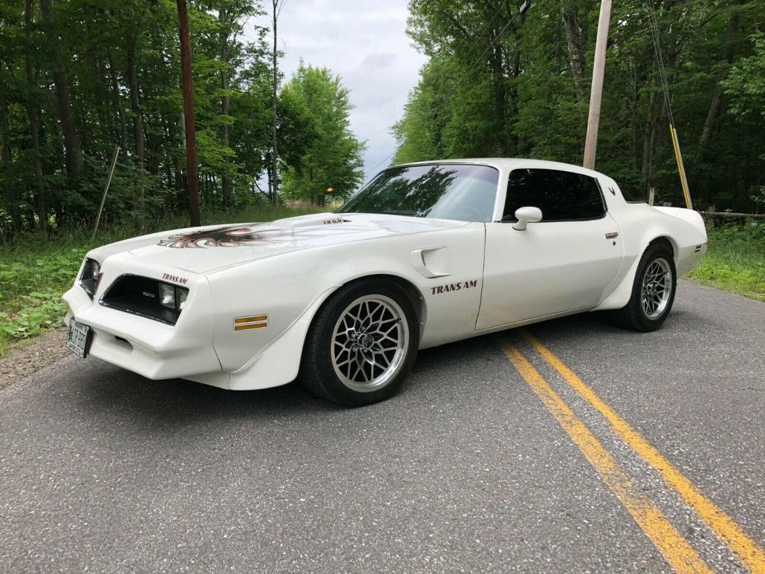 400ci, 4 speed WS6, Vintage Air, Year One wheels, Detroit Speed lowering springs 1978 Pontiac Trans Am