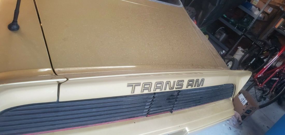 1979 Pontiac Trans Am - photo 10