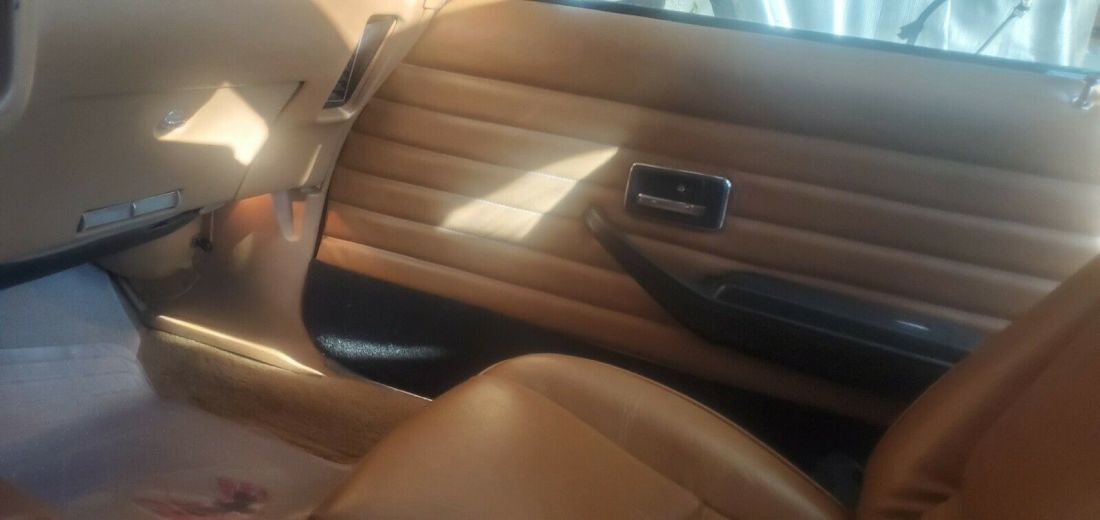 1979 Pontiac Trans Am - photo 5