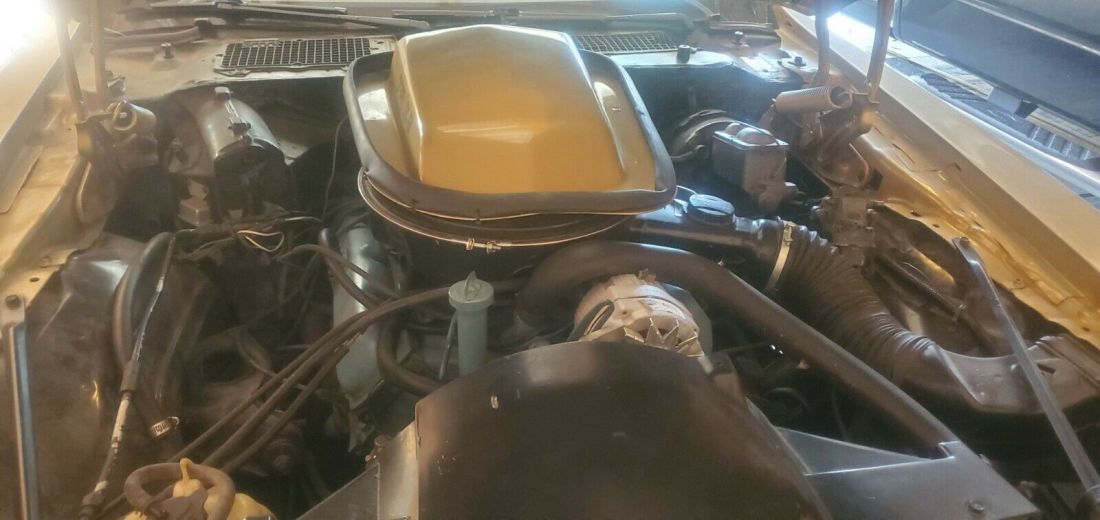 1979 Pontiac Trans Am - photo 8