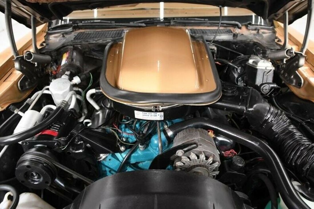 1979 Pontiac Trans Am - photo 5