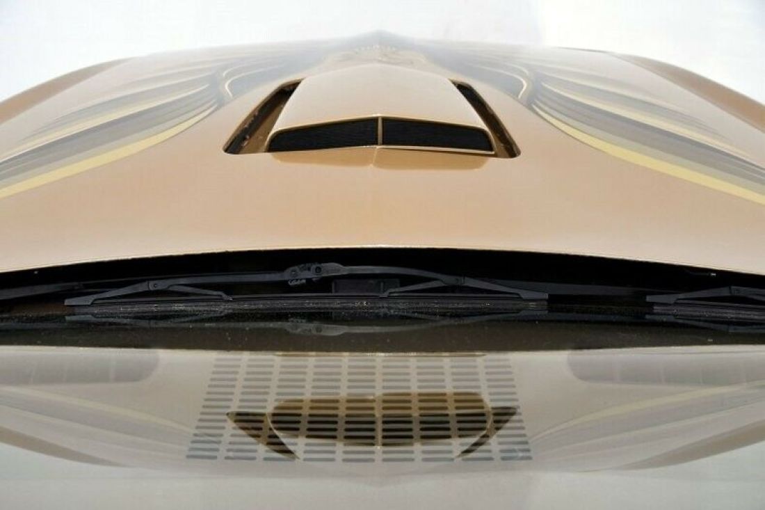 1979 Pontiac Trans Am - photo 9