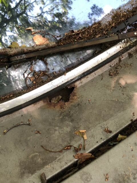 1985 Jaguar XJ6 Vanden Plas - photo 4