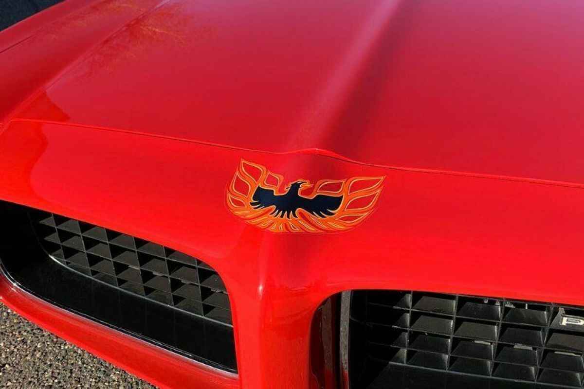 1973 Pontiac Trans Am - photo 11
