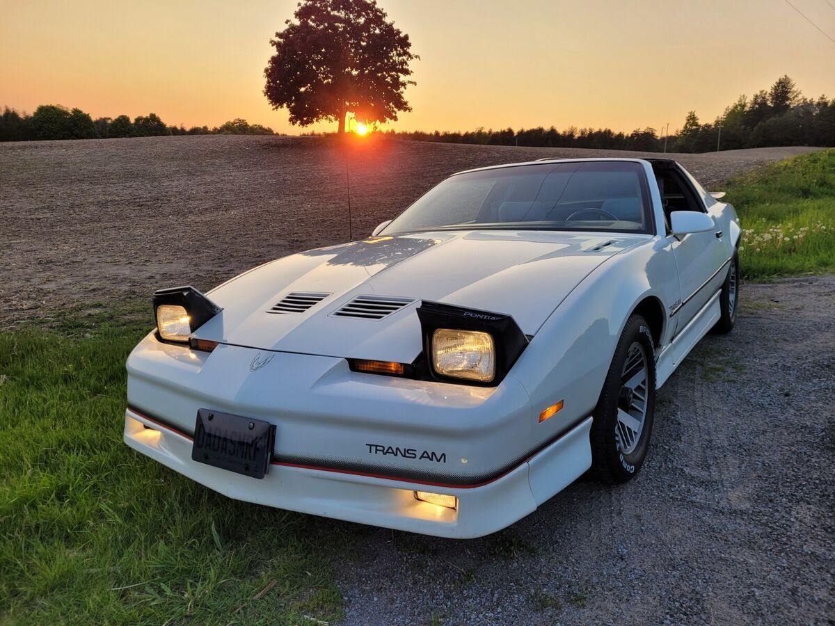1986 Pontiac Firebird TRANS AM