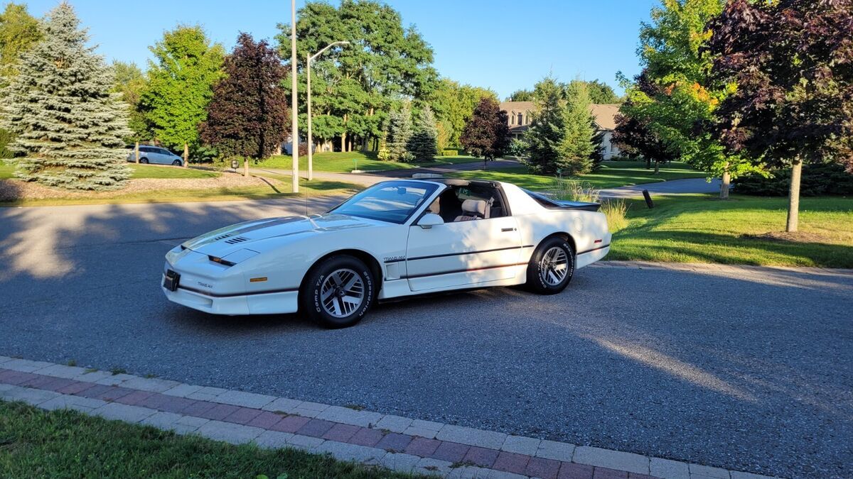 1986 Pontiac Firebird TRANS AM - photo 10