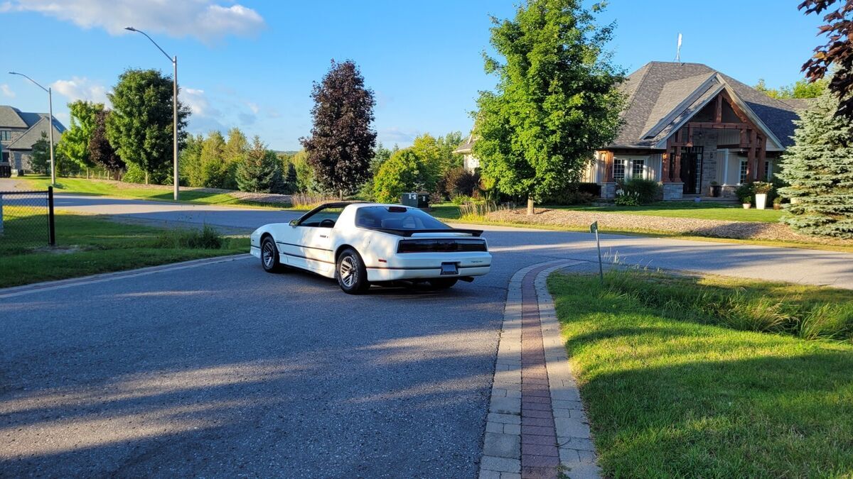 1986 Pontiac Firebird TRANS AM - photo 11