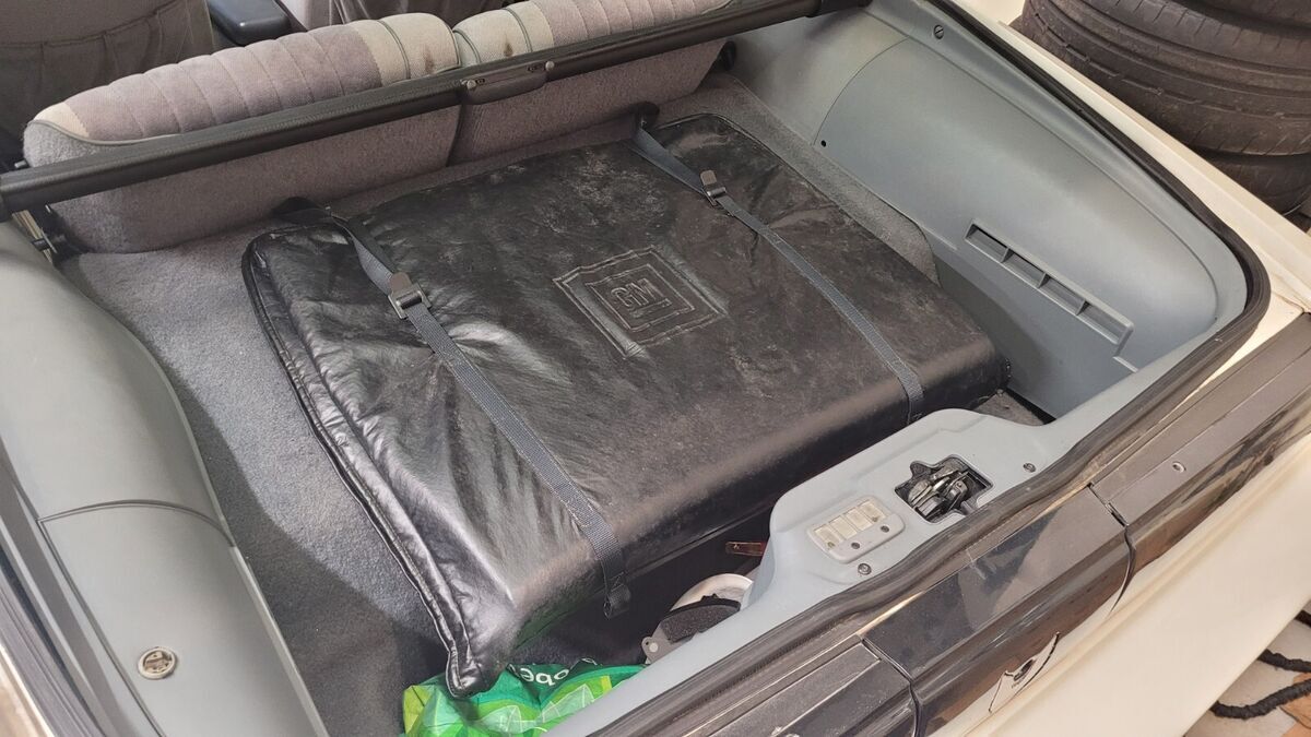 1986 Pontiac Firebird TRANS AM - photo 13