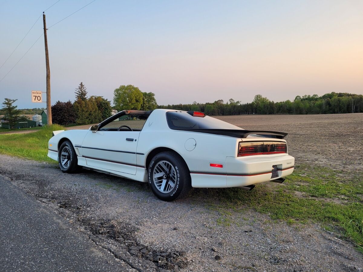 1986 Pontiac Firebird TRANS AM - photo 2