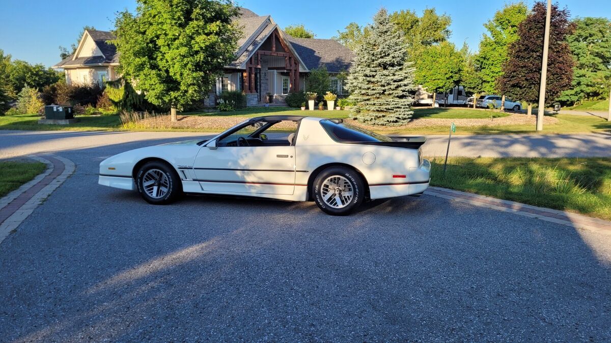 1986 Pontiac Firebird TRANS AM - photo 6