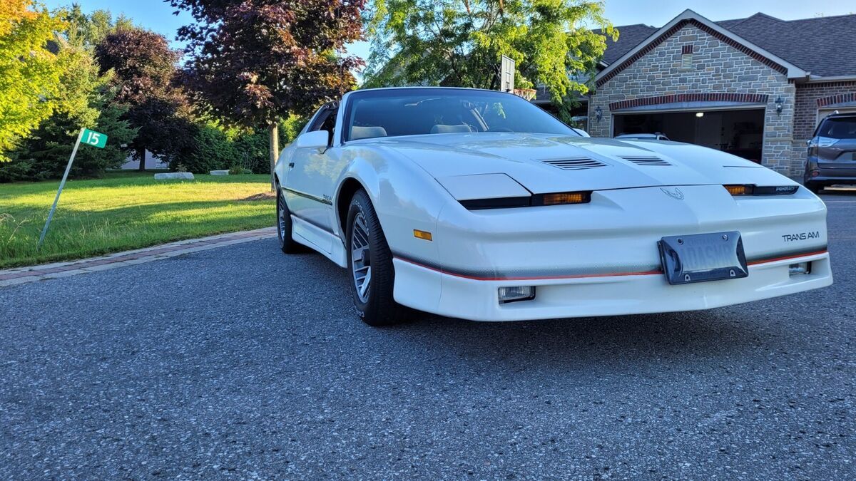 1986 Pontiac Firebird TRANS AM - photo 9