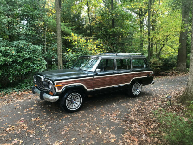 1983 Jeep Wagoneer - photo 3