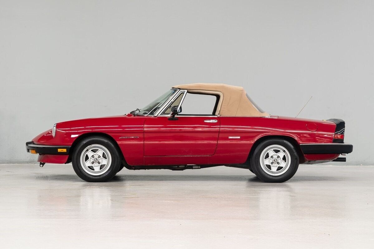 1987 Alfa Romeo Spider Veloce - photo 3
