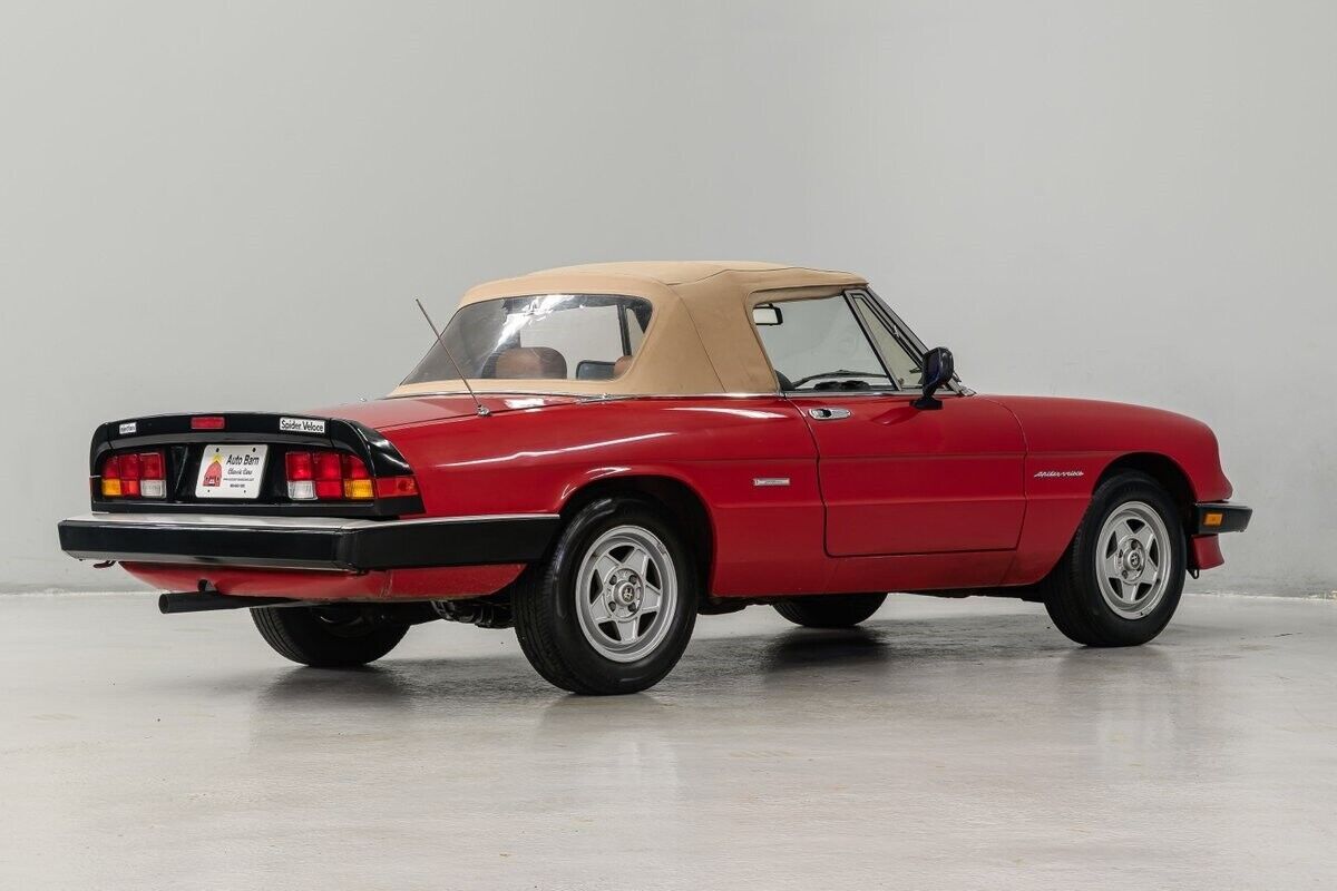 1987 Alfa Romeo Spider Veloce - photo 7