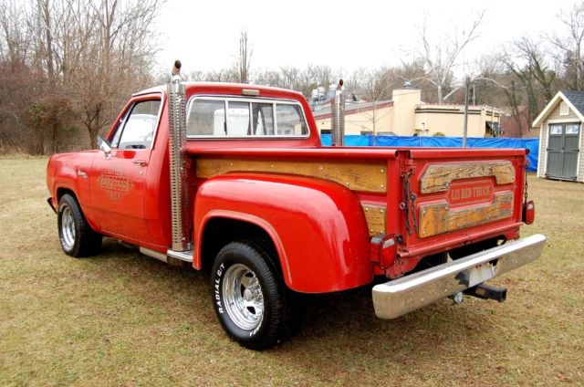 1979 Dodge Other Pickups - photo 3