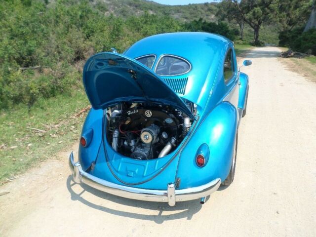 51 VW SPLIT WINDOW Beetle custom/Show winner 1951 Volkswagen Beetle - Classic