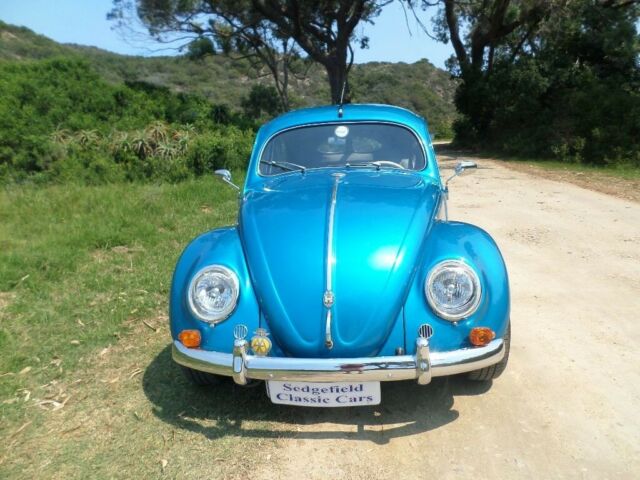 1951 Volkswagen Beetle - Classic - photo 3