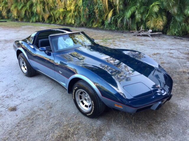 1979 Chevrolet Corvette L48 - photo 7