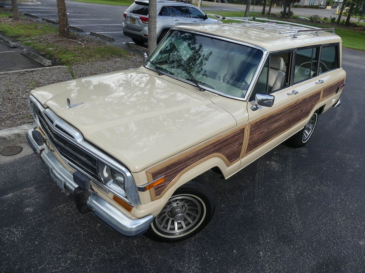 1989 Jeep Grand Wagoneer - photo 10
