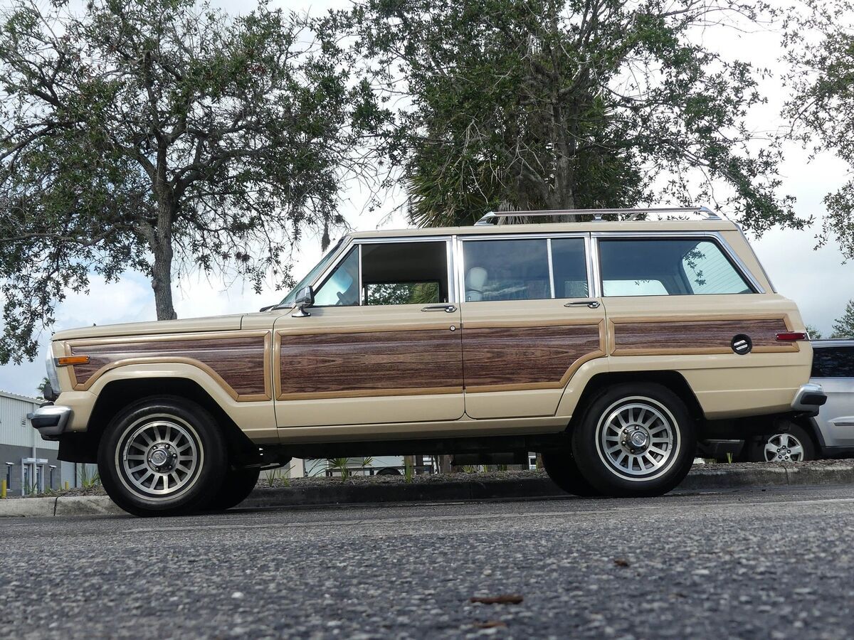 1989 Jeep Grand Wagoneer - photo 11