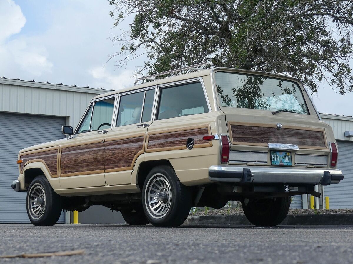 1989 Jeep Grand Wagoneer - photo 13