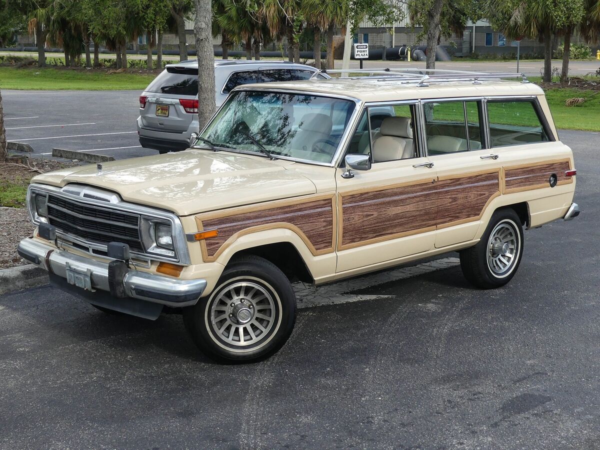 1989 Jeep Grand Wagoneer - photo 7