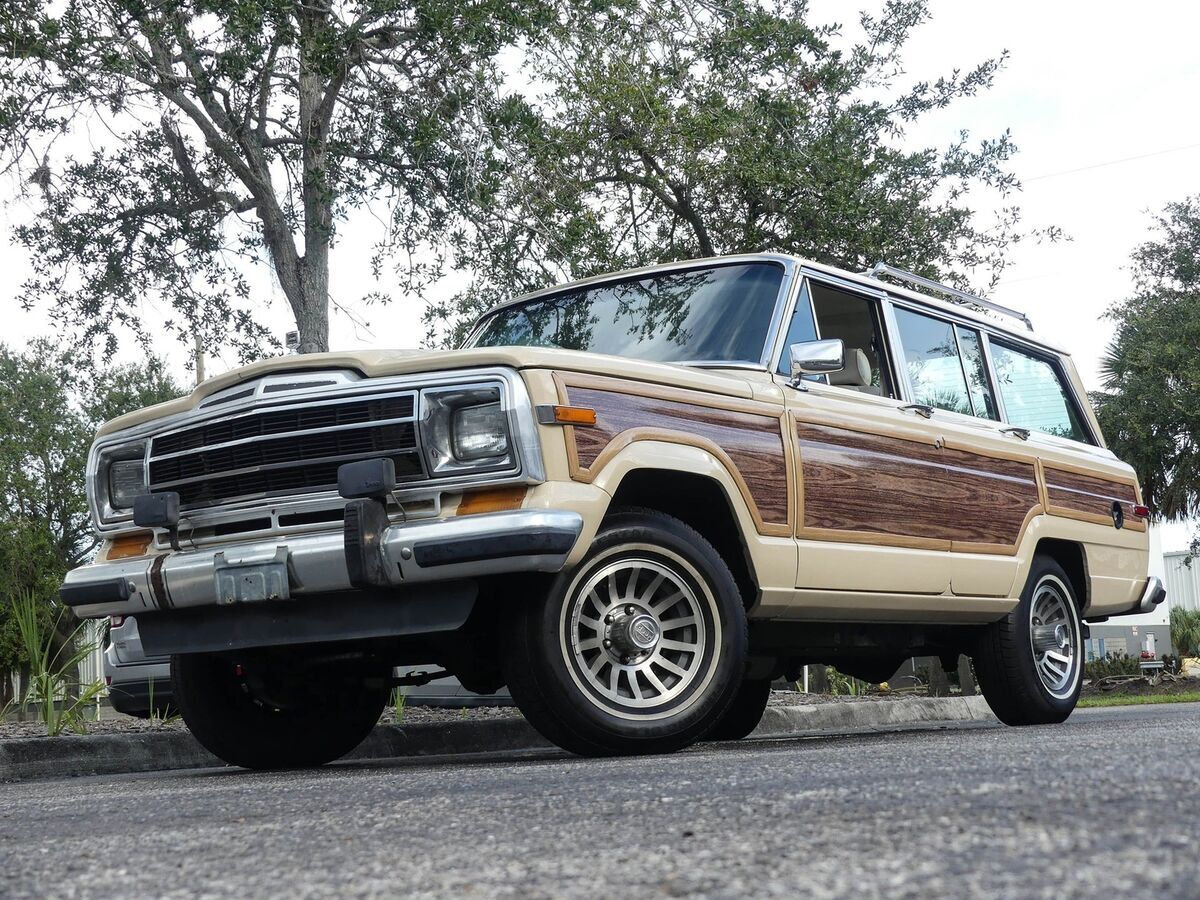 1989 Jeep Grand Wagoneer - photo 8