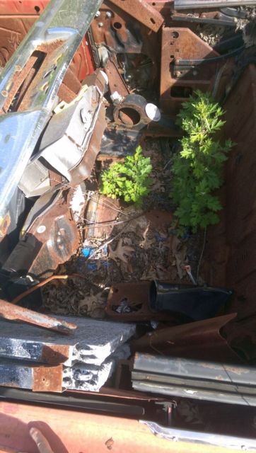 1963 Pontiac Bonneville - photo 6