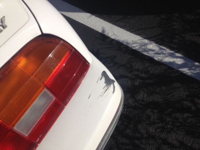 1991 Mercury Capri XR2 - photo 12