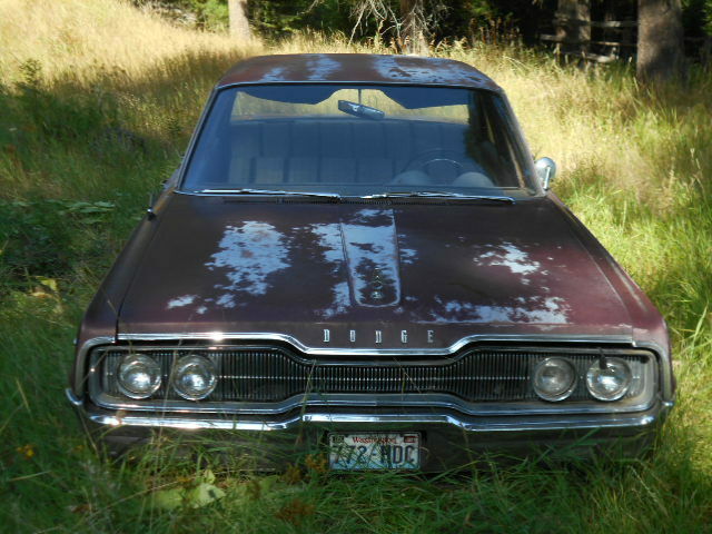 66 Dodge Polara 1966 Dodge Polara chrome