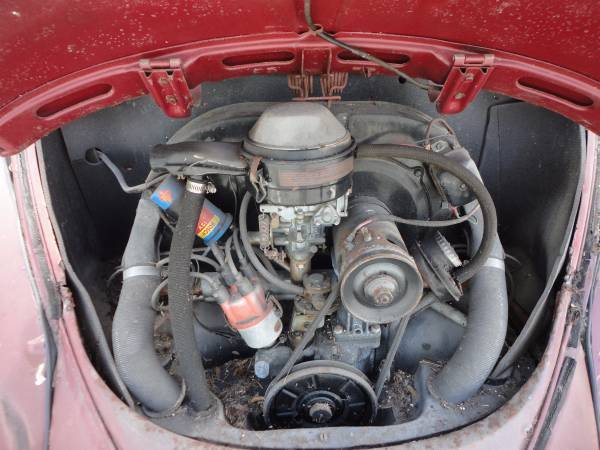 1966 Volkswagen Beetle - Classic - photo 8