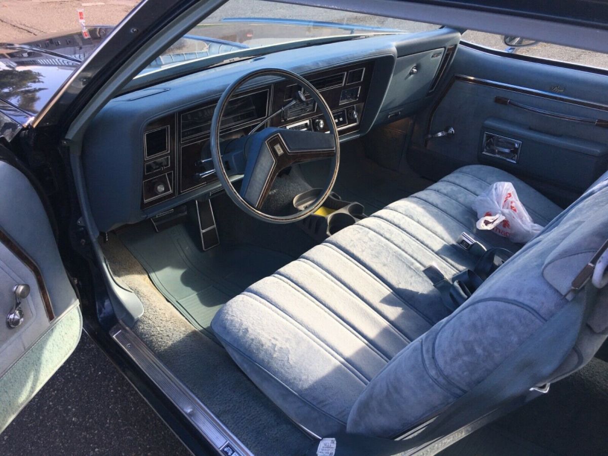 1979 Oldsmobile Eighty-Eight Royale - photo 7