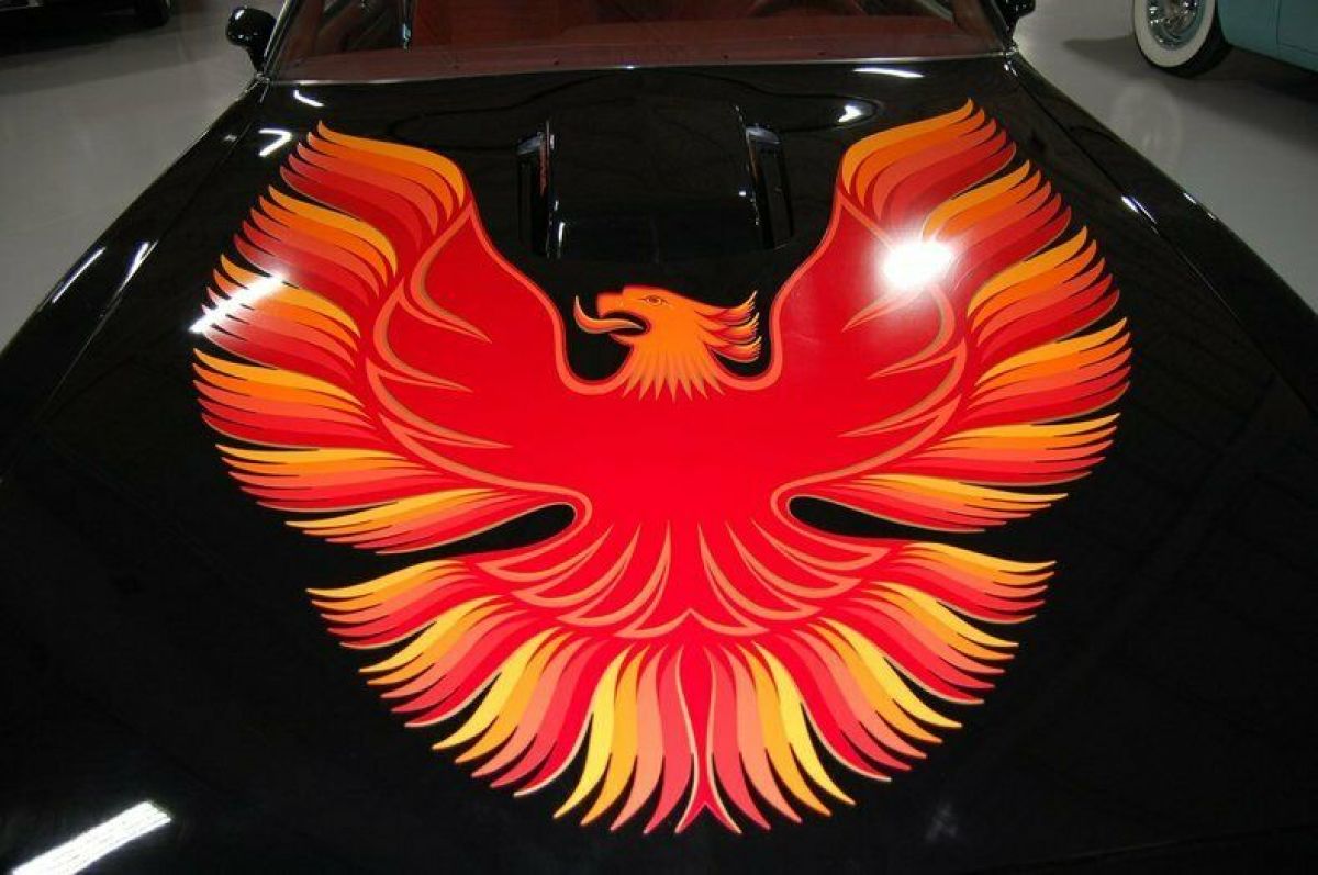 1979 Pontiac Trans Am - photo 13