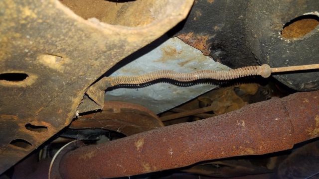 1967 Pontiac Firebird - photo 13