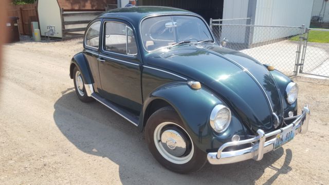 1967 Volkswagen Beetle - Classic - photo 2