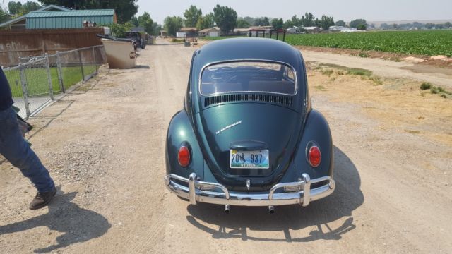 1967 Volkswagen Beetle - Classic - photo 3