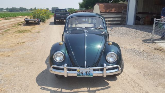 1967 Volkswagen Beetle - Classic - photo 6