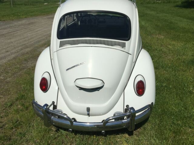 1967 Volkswagen Beetle - Classic - photo 5