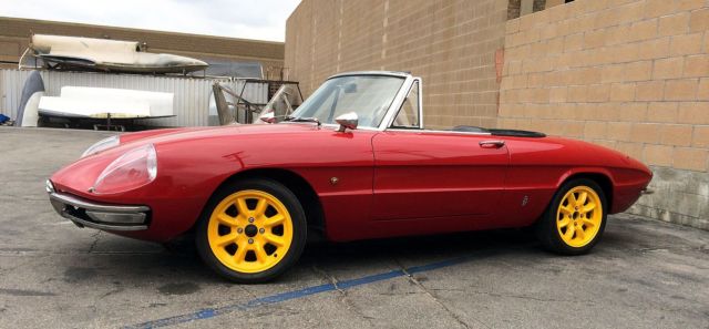 1967 Alfa Romeo Spider