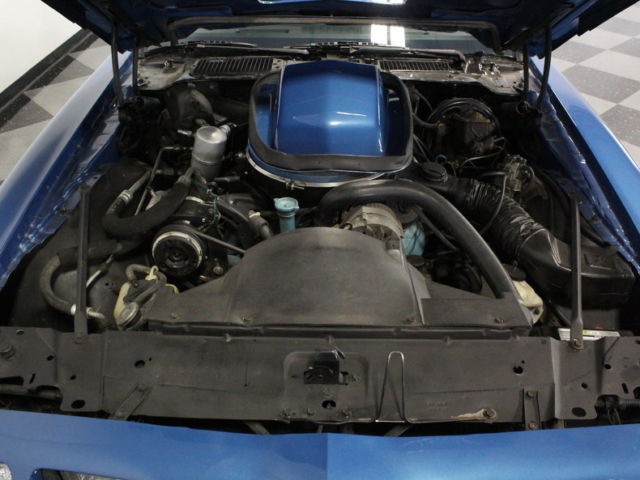 1979 Pontiac Firebird Trans Am - photo 3
