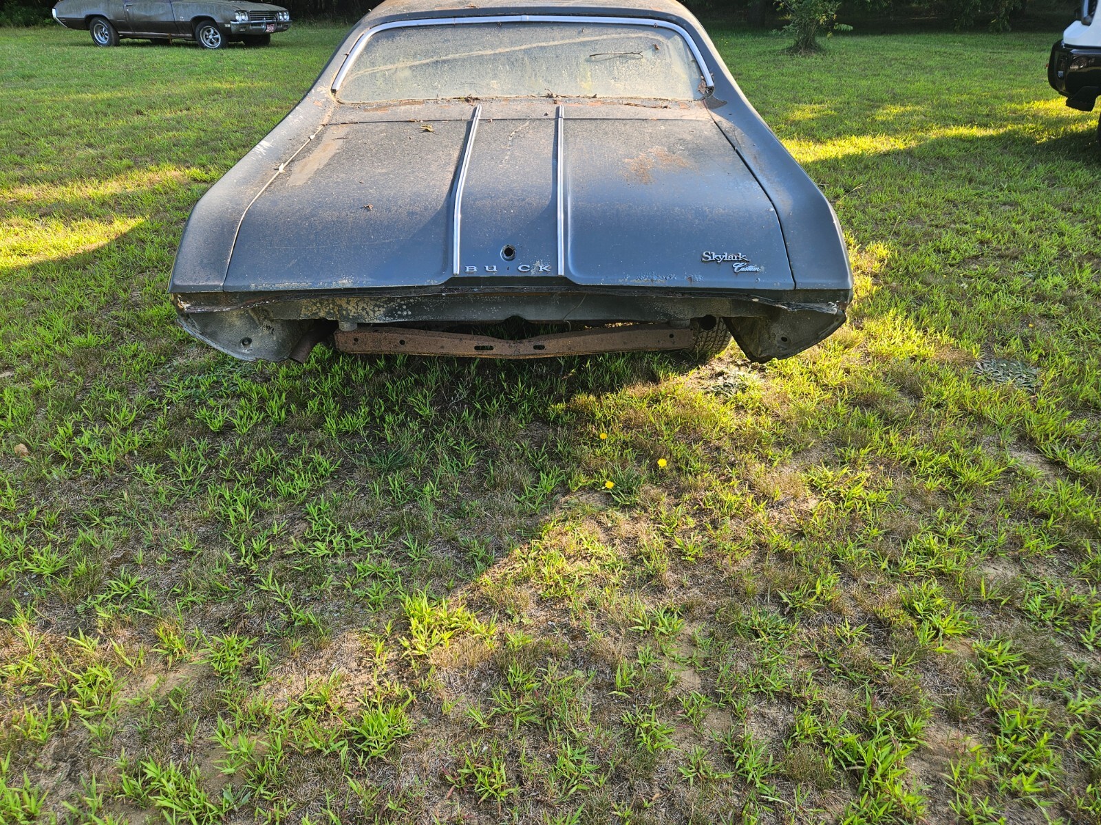 1968 Buick Skylark - photo 3