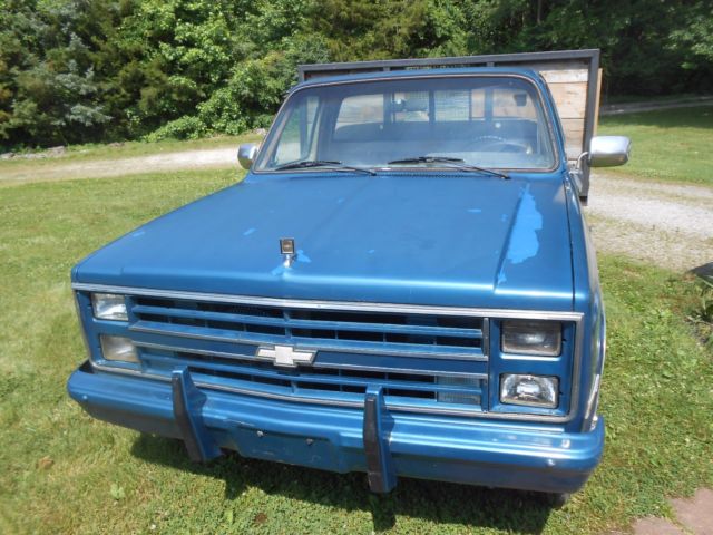 1986 Chevrolet Other Pickups Custom/20 - photo 4