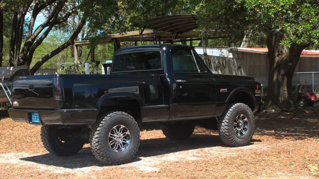1969 Chevrolet Other Pickups - photo 2