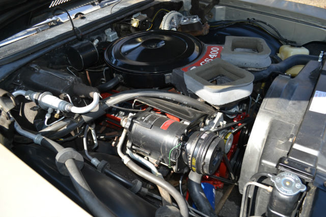 1969 Buick Skylark - photo 11